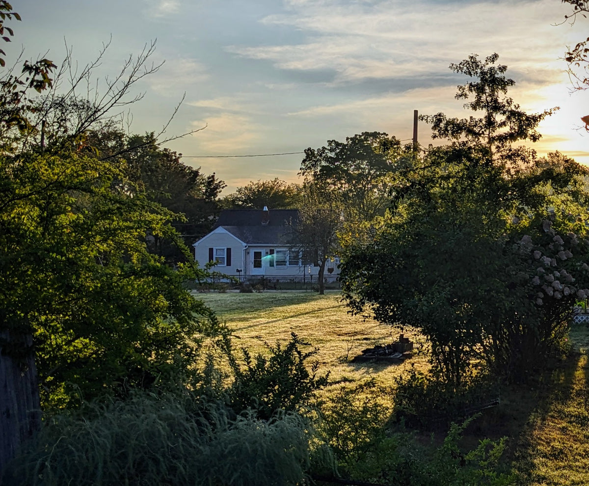 A scenic view of a small white house in a backyard during sunset, framed by lush green trees and bushes in the foreground.